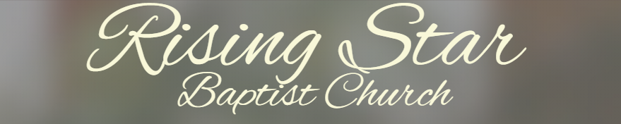 Summer Scholars Rising Star